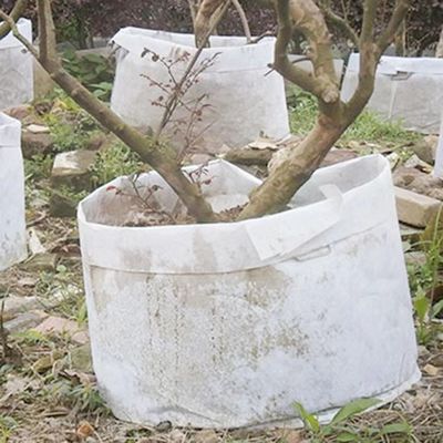 Özelleştirmek Sıcak Satış dokuma olmayan kumaş Biyobozunur bitki çantası nefes alabilen ağaç yetiştirme çantası büyük kreş kulplu çanta