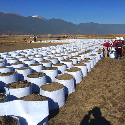 Özelleştirmek Sıcak Satış dokuma olmayan kumaş Biyobozunur bitki çantası nefes alabilen ağaç yetiştirme çantası büyük kreş kulplu çanta